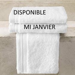 Linge de bain hôtel de luxe coton peigné - EXCELLENCE - 600 gr/m²